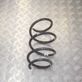 Front coil spring