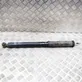 Rear shock absorber/damper