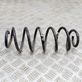 Rear coil spring