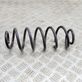 Rear coil spring