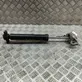 Rear shock absorber/damper