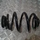 Rear coil spring