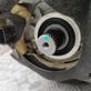 Moteur   11082538,544985088,654556067,900301191
