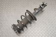 Front shock absorber/damper