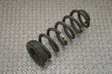 Rear coil spring