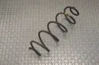 Rear coil spring