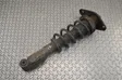 Rear shock absorber/damper