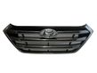 Front bumper upper radiator grill