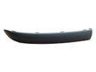 Rear bumper trim bar molding