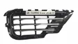 Front bumper lower grill