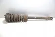 Front shock absorber with coil spring