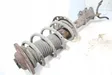 Front shock absorber with coil spring