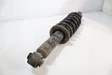 Rear shock absorber/damper