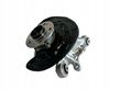 Rear wheel hub spindle/knuckle