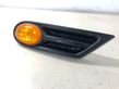 Front fender indicator light