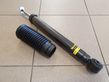 Rear shock absorber/damper