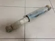 Rear shock absorber/damper