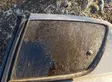 Rear door window glass