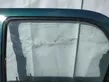 Rear door window glass