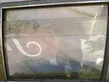 Rear door window glass