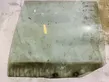 Rear door window glass