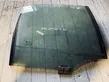 Rear door window glass