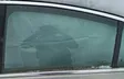 Rear door window glass