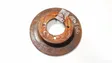 Rear brake disc