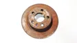 Rear brake disc