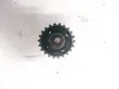 Crankshaft pulley