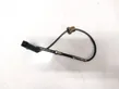 Exhaust gas temperature sensor