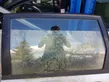 Rear door window glass