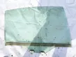 Rear door window glass