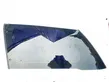 Rear door window glass