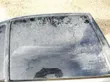 Rear door window glass