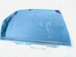 Rear door window glass