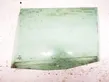 Rear door window glass