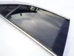 Rear door window glass