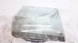 Rear door window glass