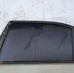 Rear door window glass