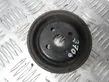 Power steering pump pulley