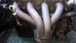 Exhaust manifold