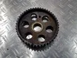 Fuel pump gear (pulley)