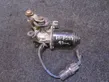 Motor del limpiaparabrisas