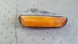 Front fender indicator light