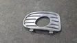 Front bumper lower grill