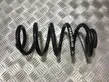 Front coil spring