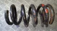 Front coil spring