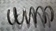 Rear coil spring