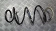 Front coil spring